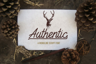 Authentic: A Hand-Crafted Script Font for Elegant Publishing