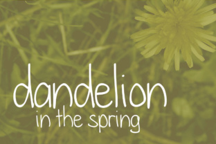 Discover the Charm of Dandelion in the Spring Font