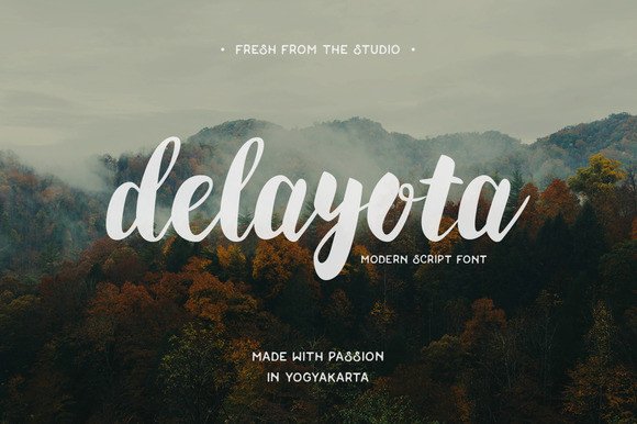 Enhance Your Brand with Delayota: A Bold, Smooth Font