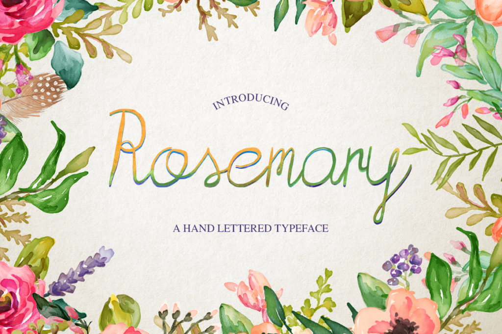 Enhance Your Brand with Rosemary: A Handwritten Font
