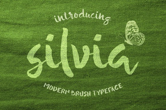 Enhance Your Brand with Silvia, the Charming Script Handwritten Font