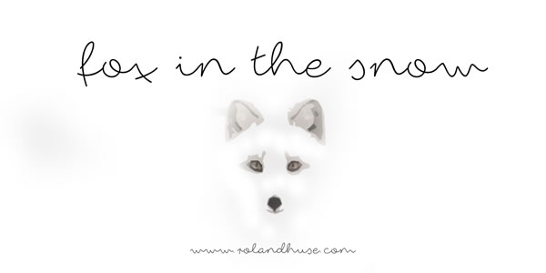 Enhance Your Web Design with Fox in the Snow Font