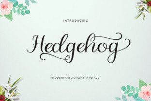 Hedgehog: A Versatile Script Font for Creative Branding