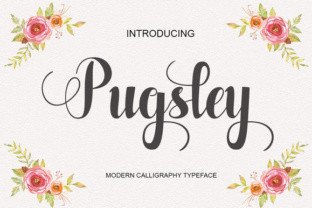 Pugsley: The Elegant Handwritten Font for Branding