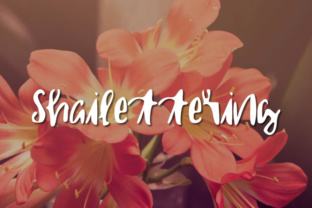 Shailettering: The Perfect Script Handwritten Font for Your Next Campaign